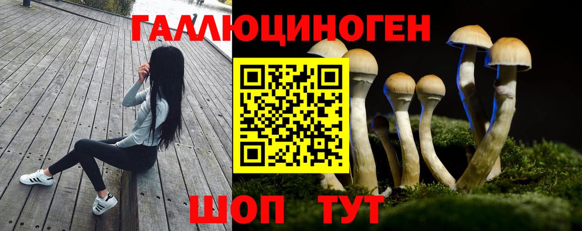 Галлюциногенные грибы GOLDEN TEACHER Учалы